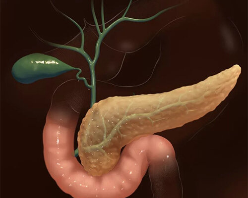 Поджелудочная железа