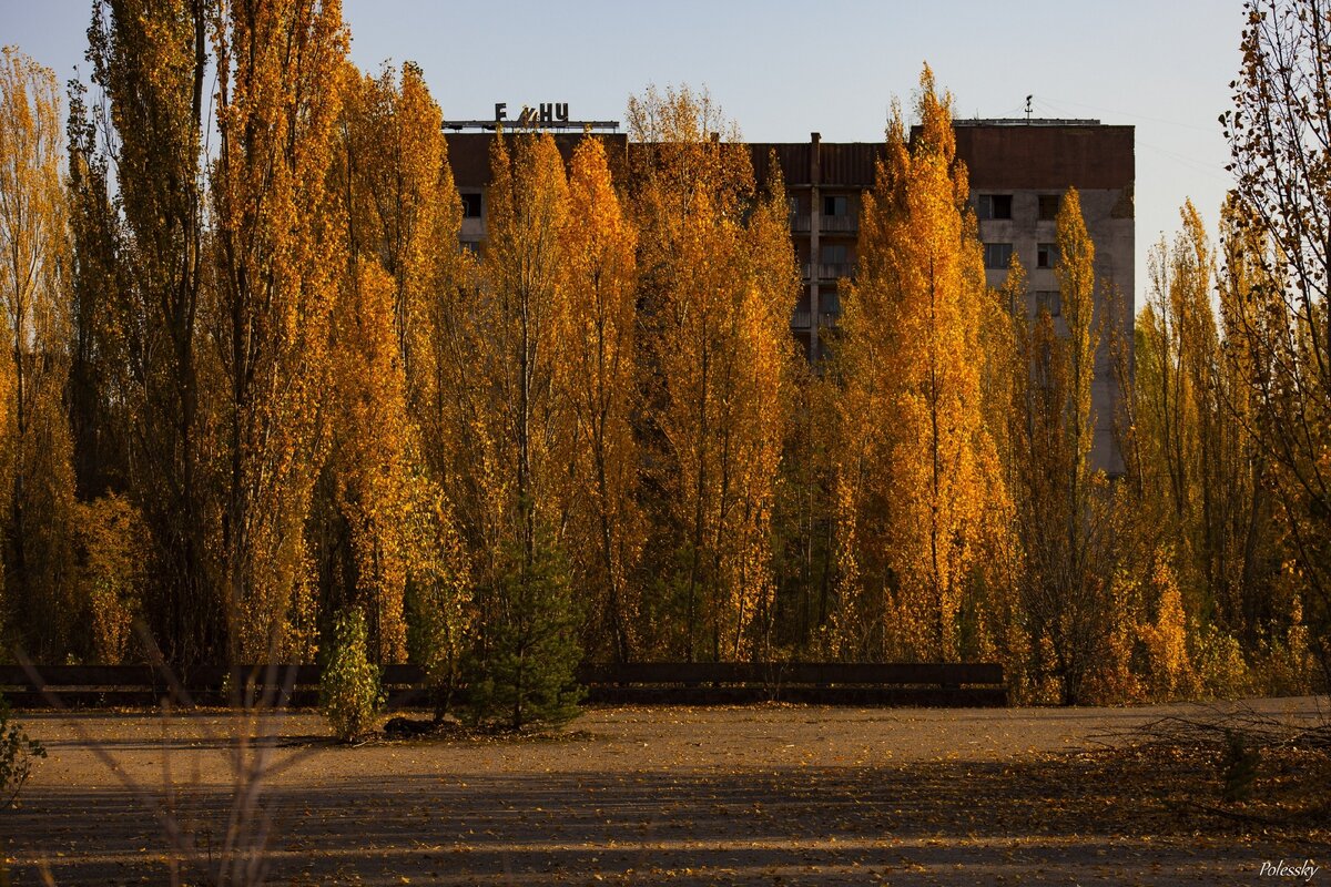 Картинки города припять