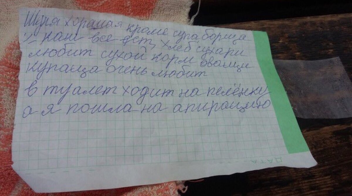 Записка, которую оставила Бабушка. Источник: Яндекс по запросу, доступ свободный.