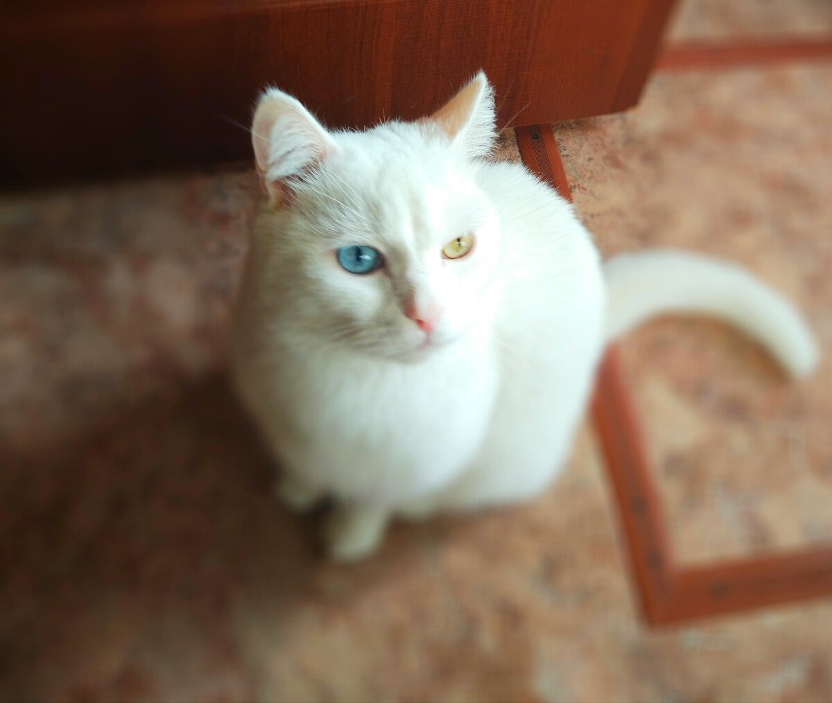 Фото автора истории. 