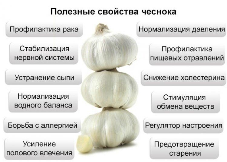 фото взято из открытых источников 