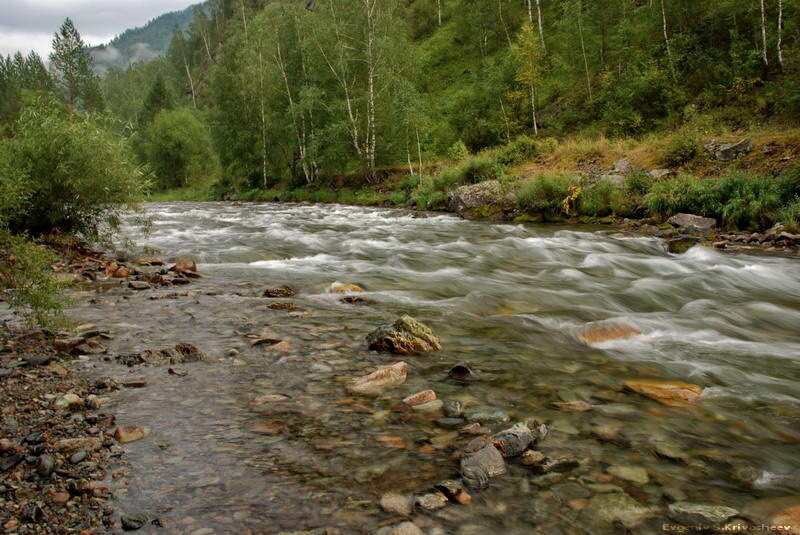 Речка куба. Речка Куба горный Алтай. Река Куба горный Алтай Чемал. Речка Куба Чемал. Девичьи плесы горный Алтай.