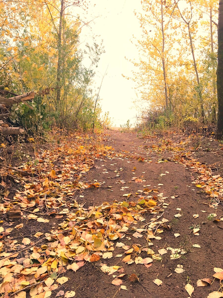 Осеняя сказка