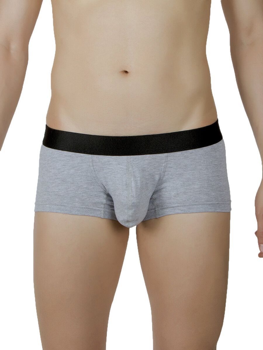 Удлиненные транки, atomic underwear, серые