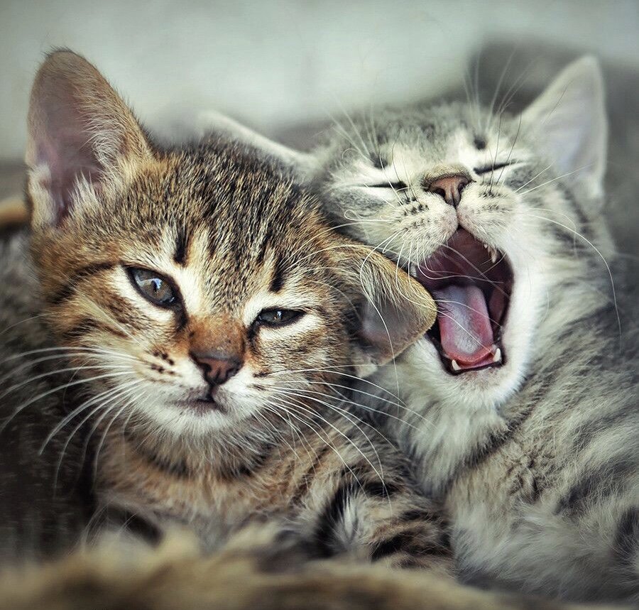 Фото из интернета 