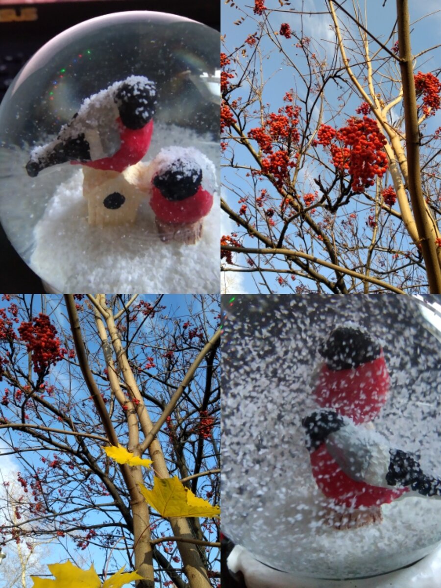 нравятся мне эти снегири. такие уютные и яркие!