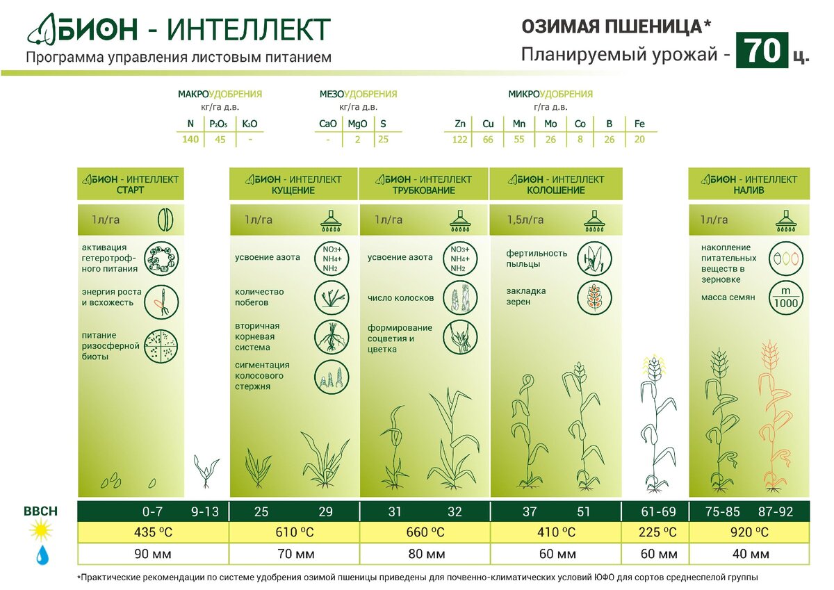 Ооо 2р проект