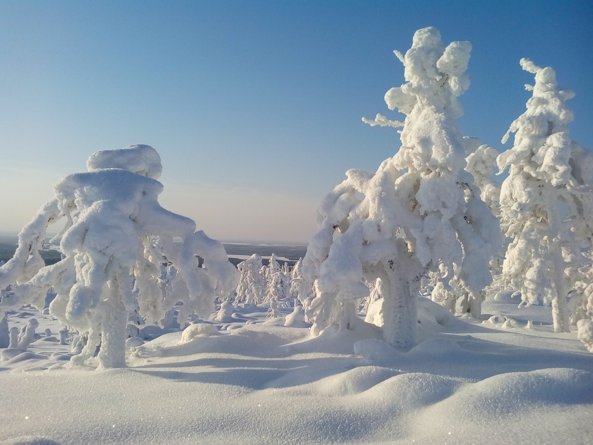 (Фото: Александр Рыжий)