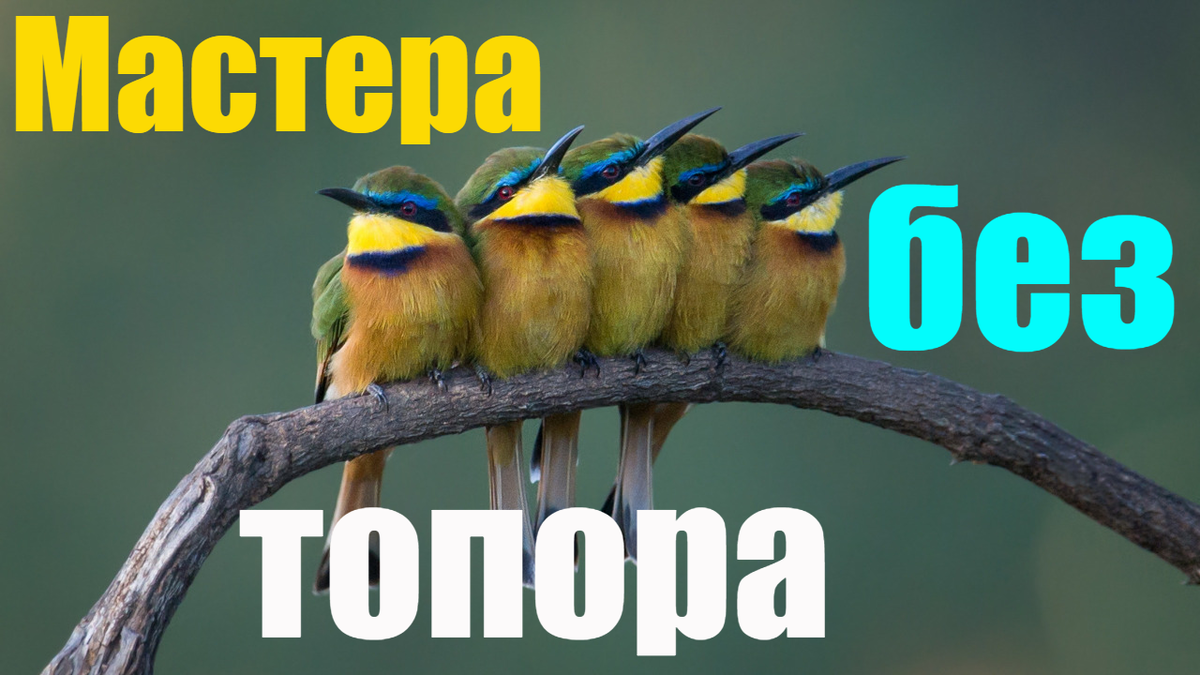 Детская сказка "Мастера без топора" от Виталия Бианки