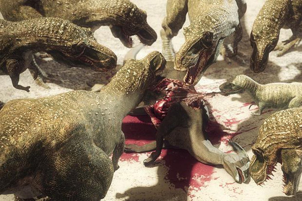 Источник: яндекс фото.