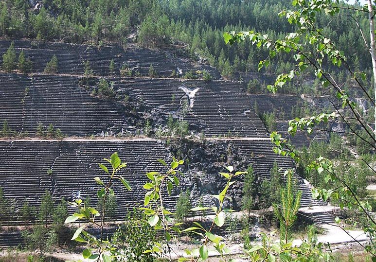 Изображение взято с Яндекс.картинки