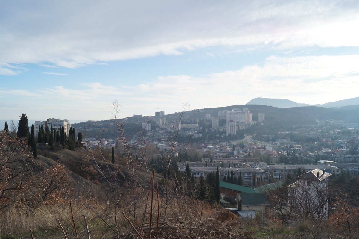 11  января 2020г.