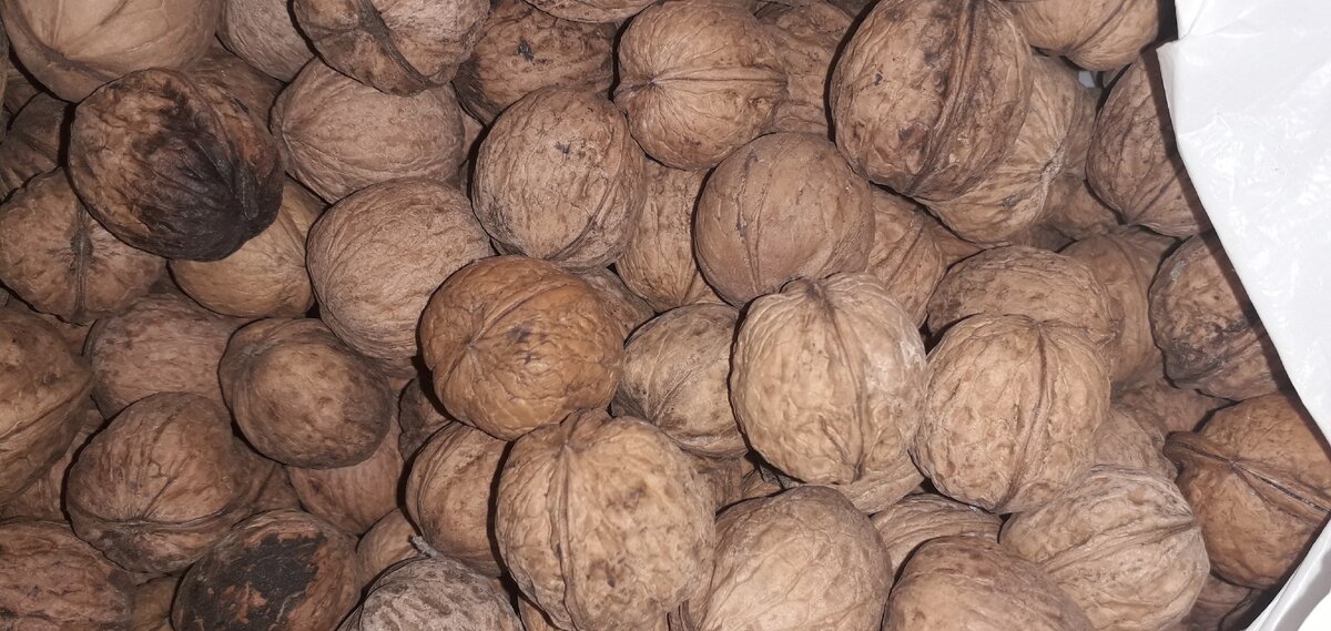 Грецкие орехи