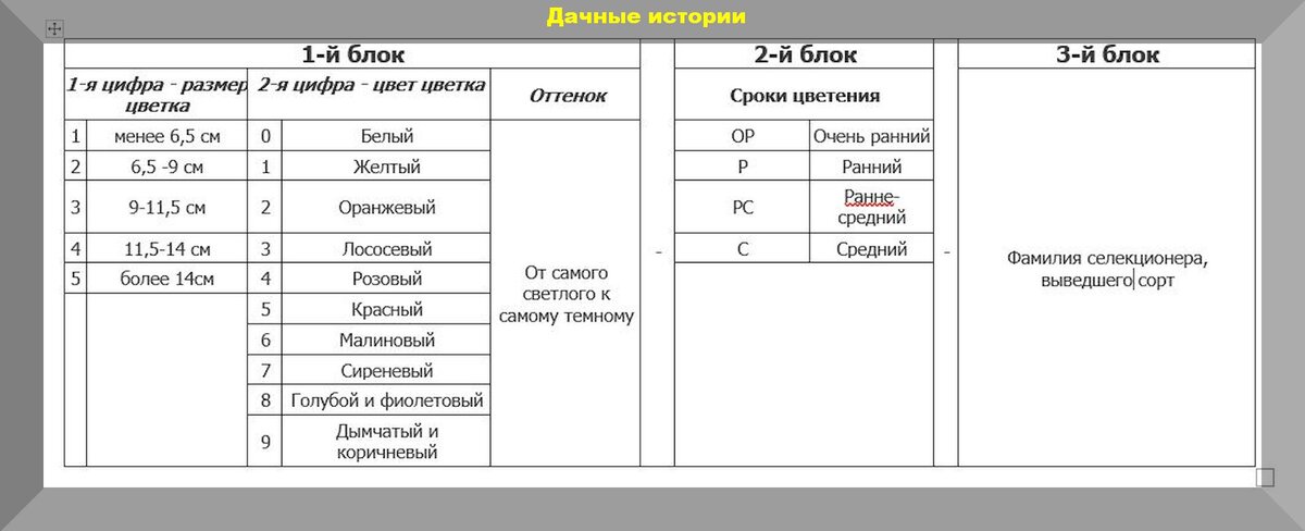 https://vk.com/photo-159774511_457243300