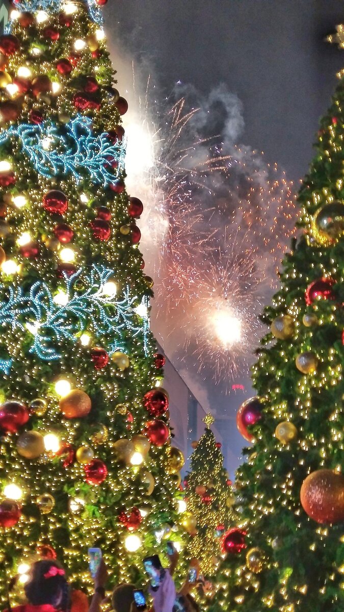 Салют и наряженные елки - все для встречающих новый год иностранцев в Бангкоке