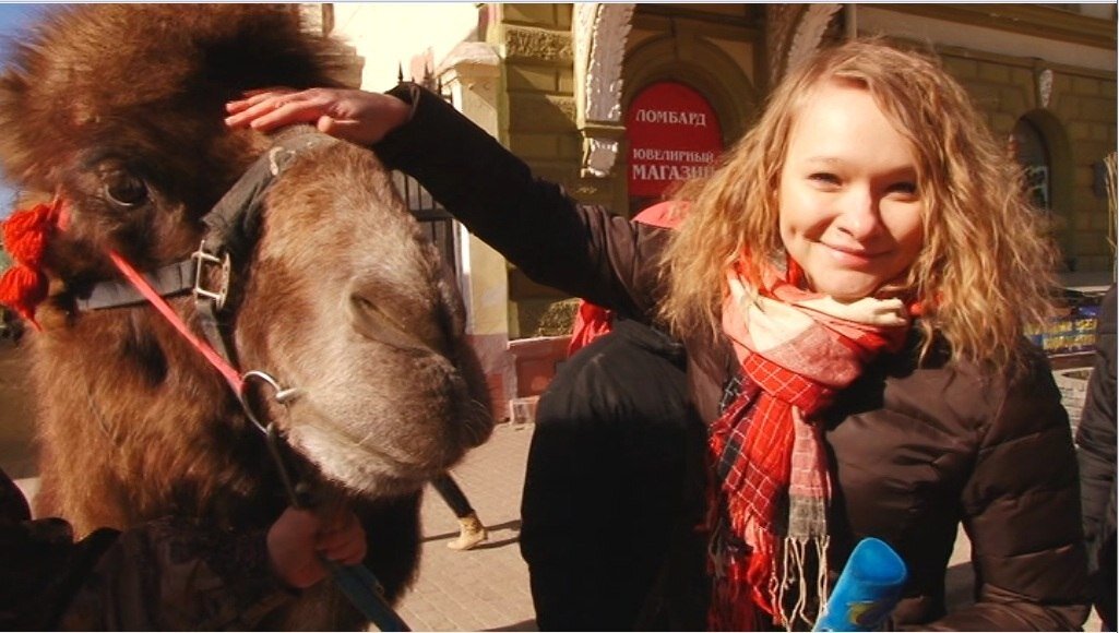 Вот такого верблюда запросто можно встретить на главной улице нашего города