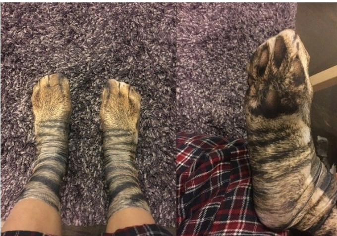 ВК -  прислали в Ленту