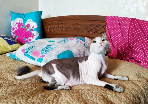 Фото:  Ура.ру