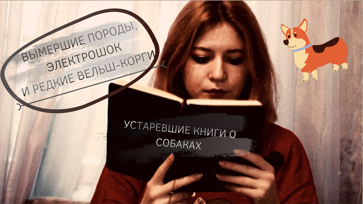 Такими темпами и вельш-коржики, гляди, устареют!