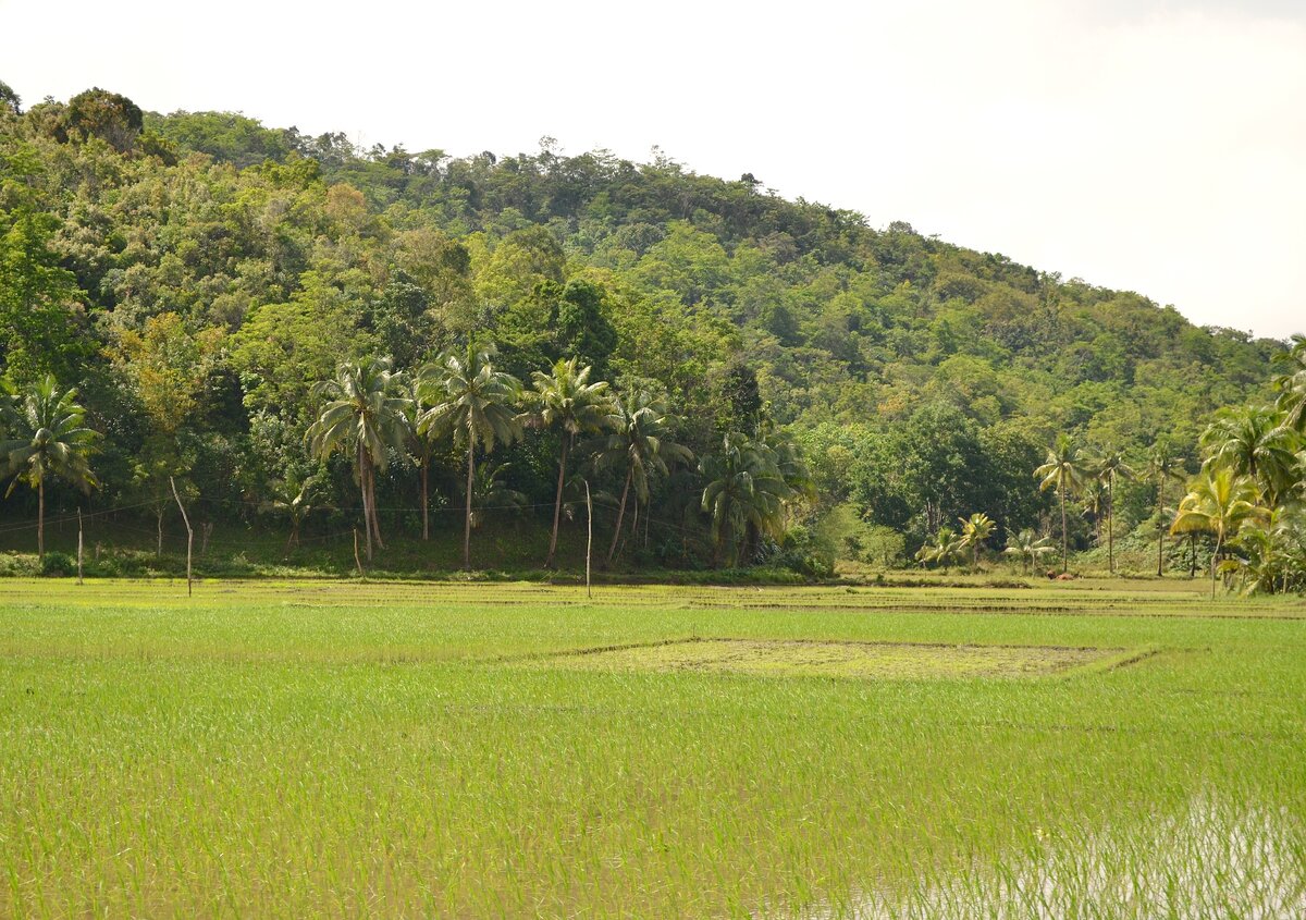 Фото из архива автора канала