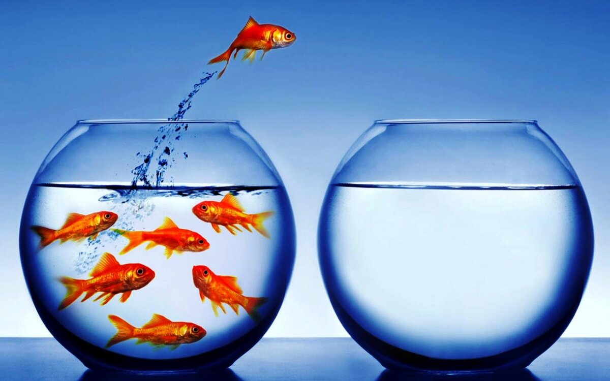 Успех - это нестандартное решение