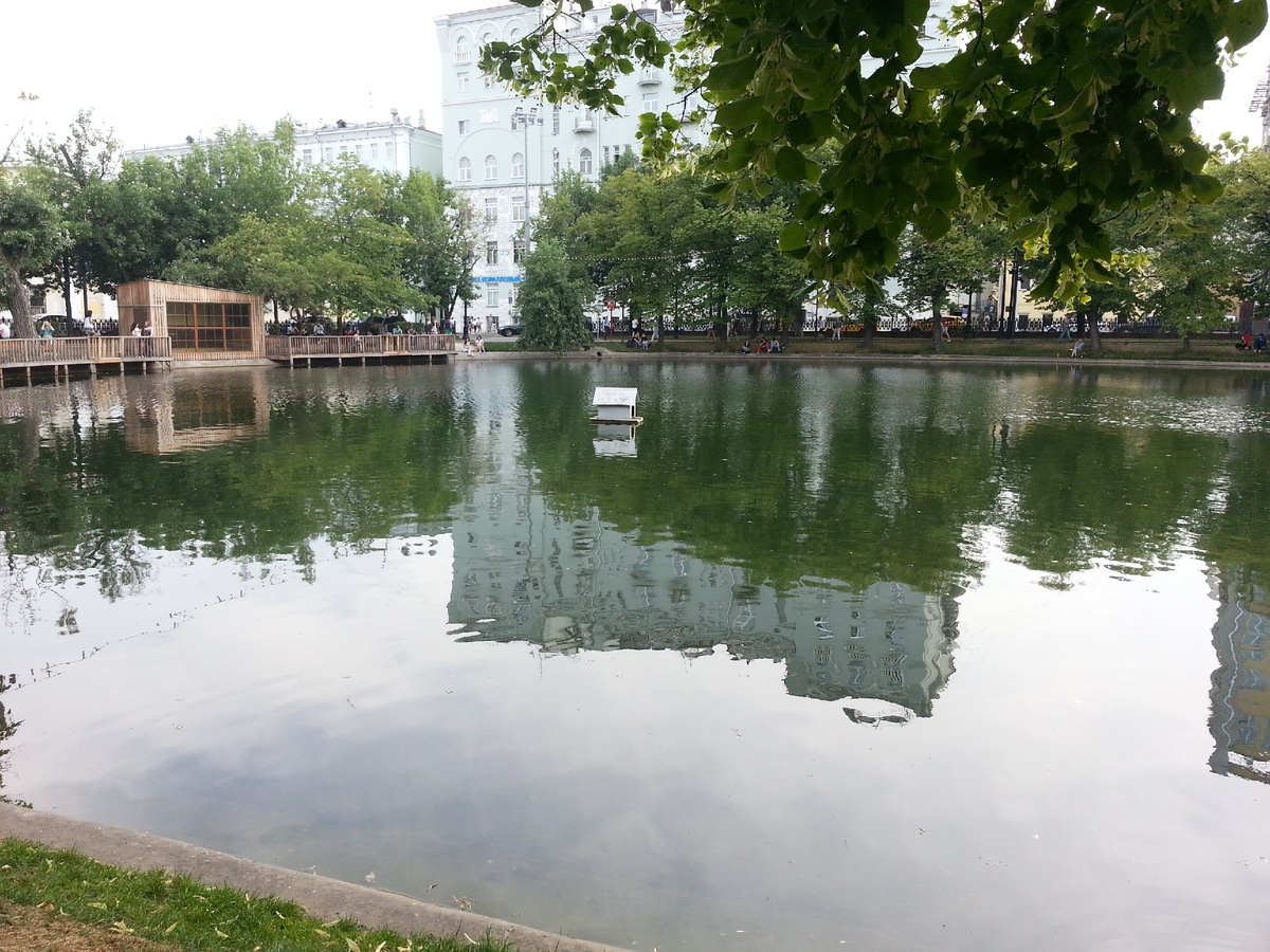 Ну вот и они - Чистые пруды