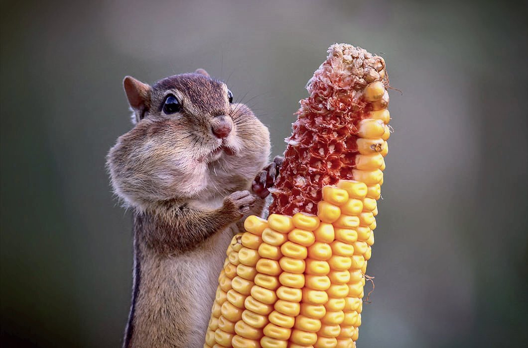 У него только щеки, а у меня......