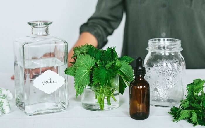 Настойку крапивы можно приготовить в домашних условиях