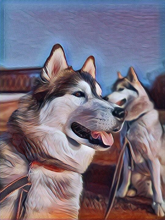 https://www.instagram.com/dva___hasya/