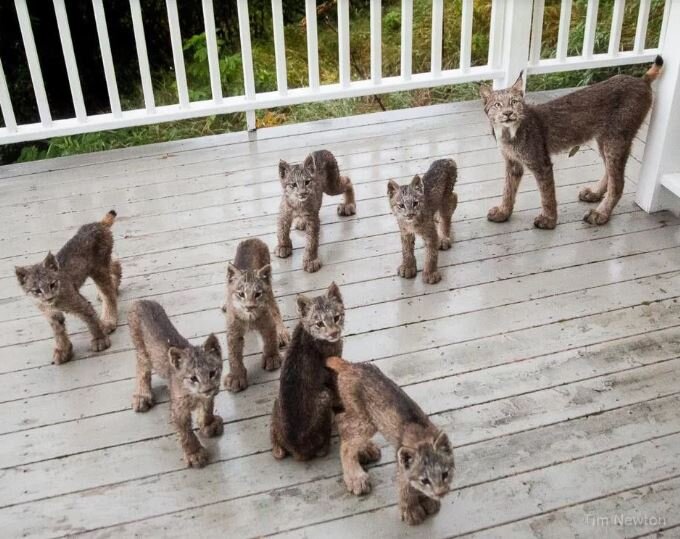 Источник: facebook