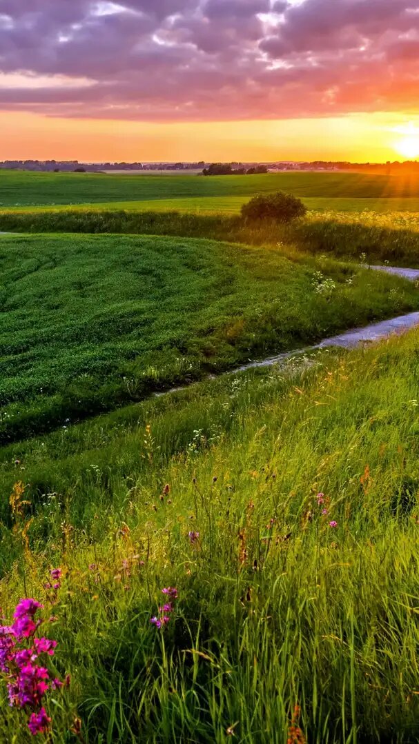 Яндекс картинки