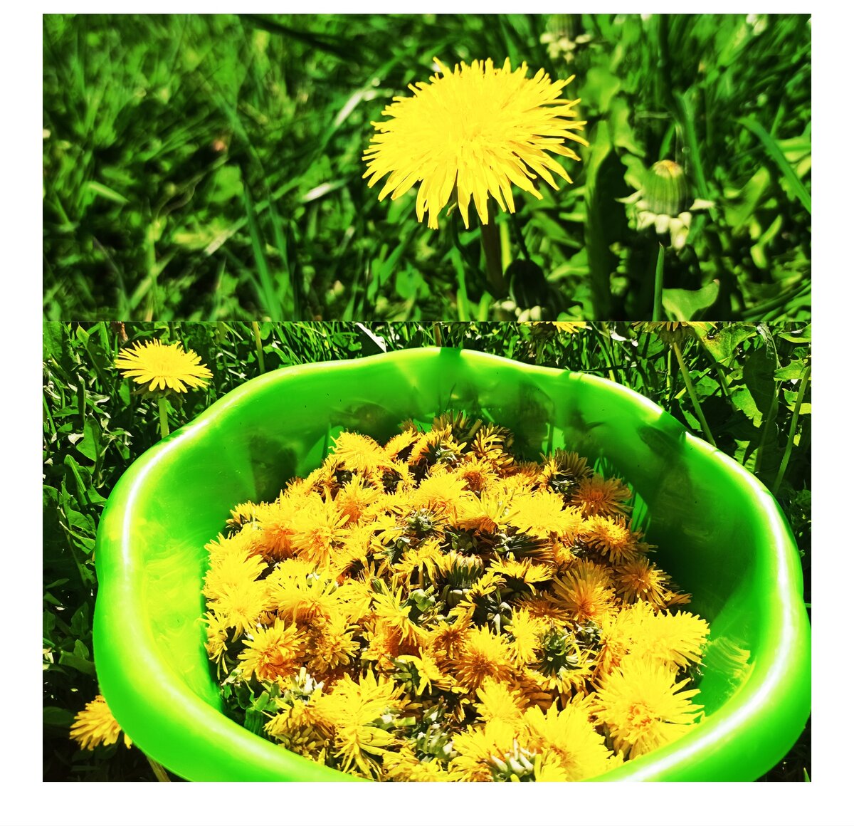 Процесс сбора очень "интересный" , как будто выполняешь квест, собираешь и считаешь :) 