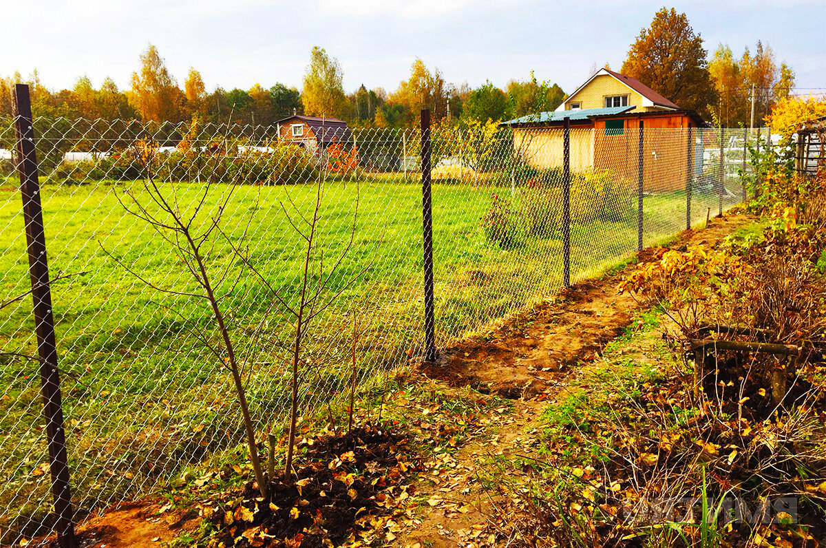 Забор из рябици.