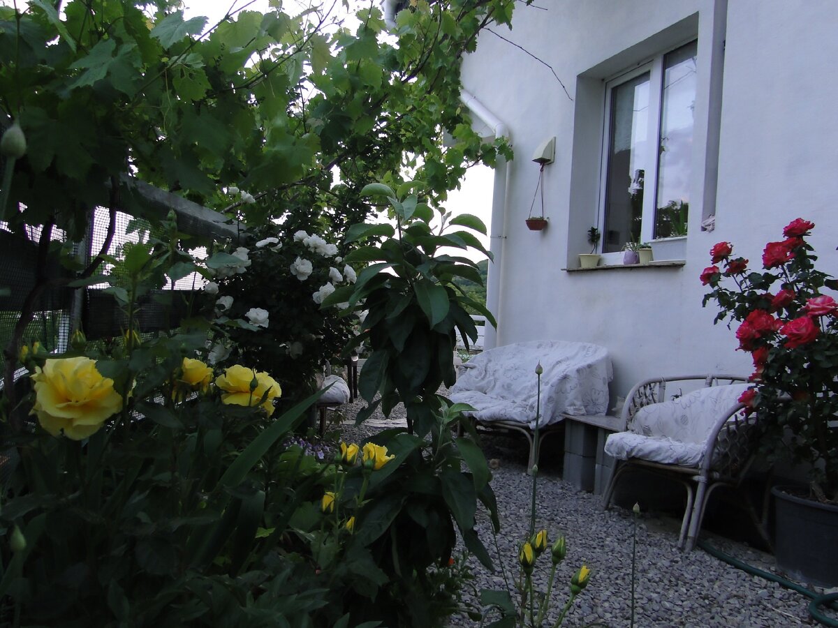 Восточная часть дворика