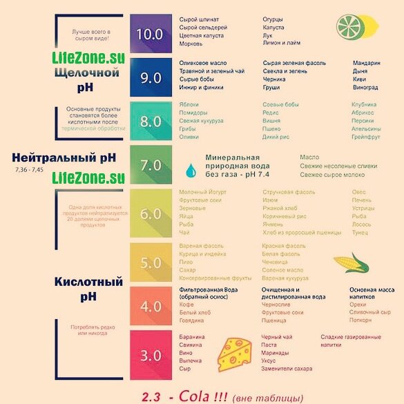 Защелачивающие продукты полная таблица