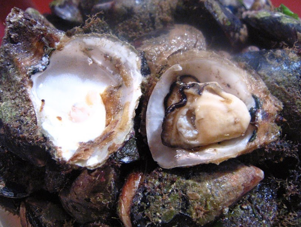 Фотография взята из источника yandex.ru