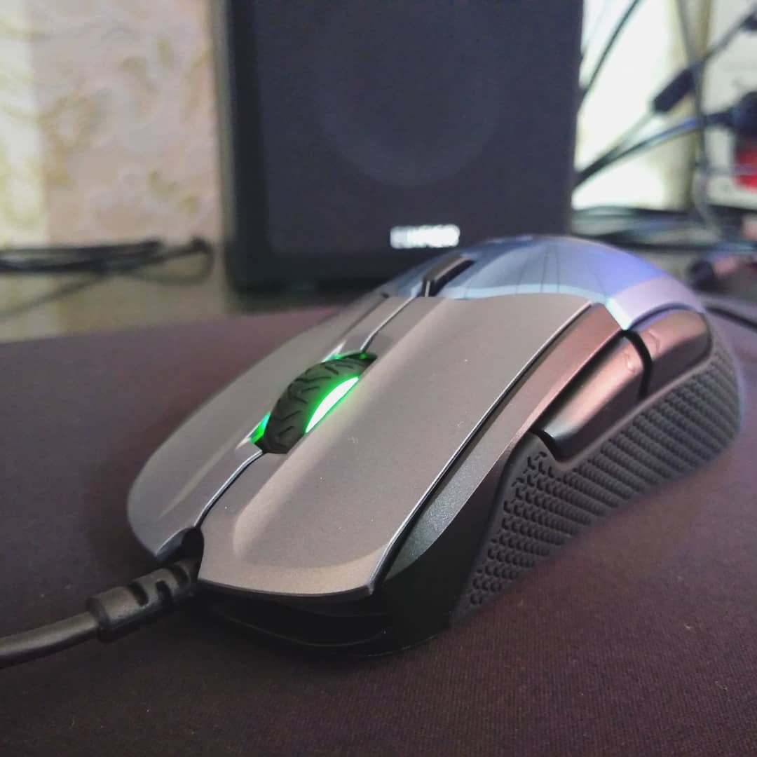 SteelSeries Rival 310 Личное фото