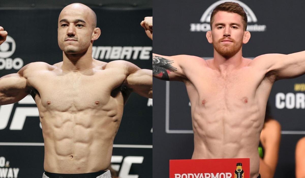 Фото: Яндекс картинки.