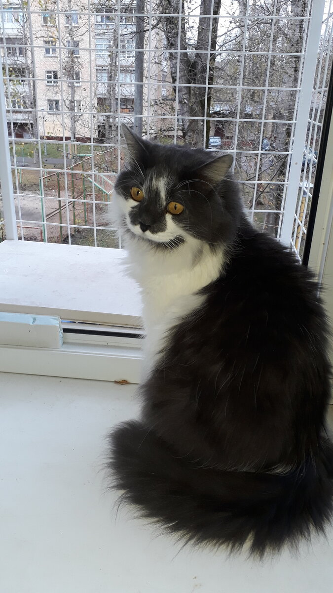 Вот он, красавец!