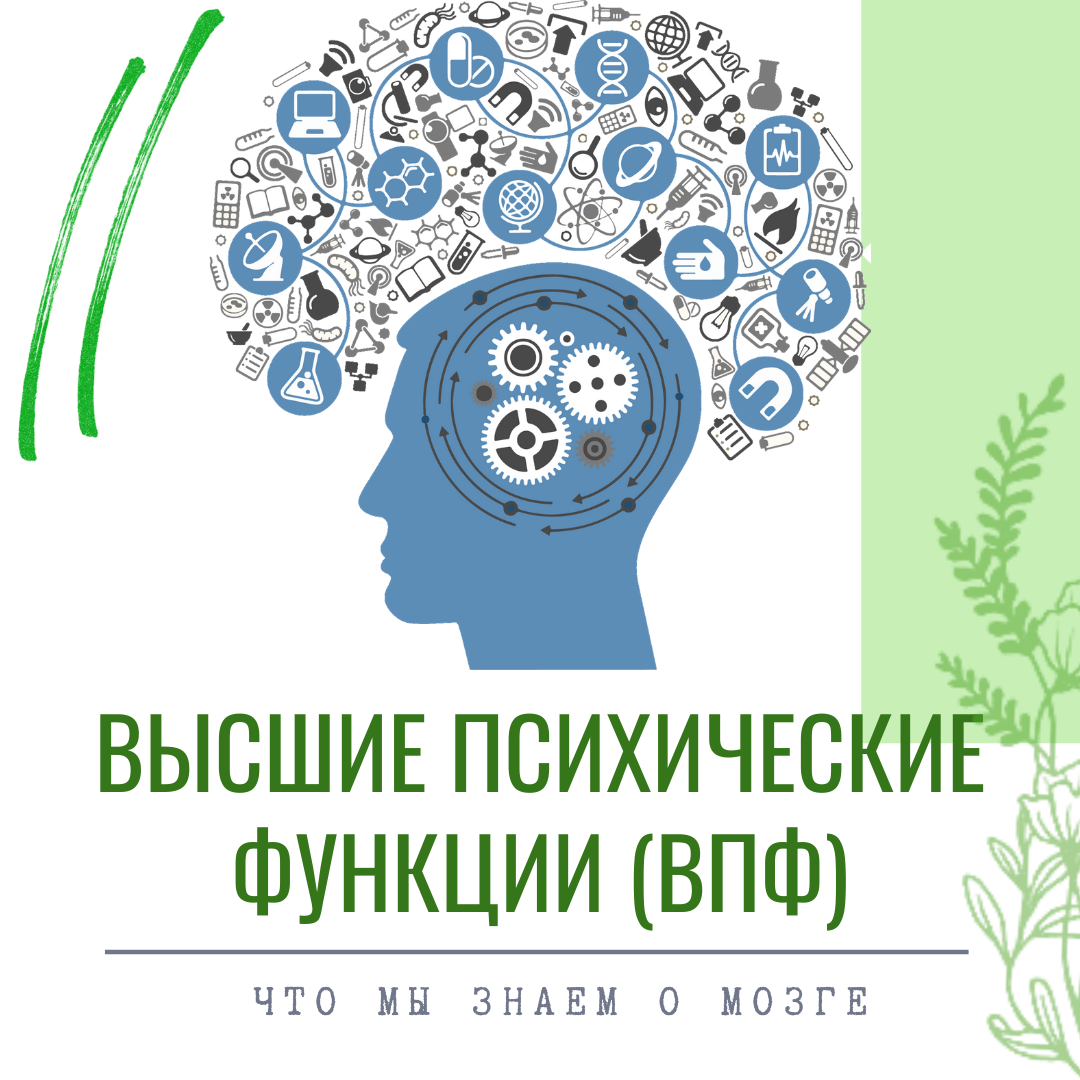 Вышепсихиеские функции. ВПФ В нейропсихологии это. Высшие психические функции. Высшие психические функции (ВПФ).