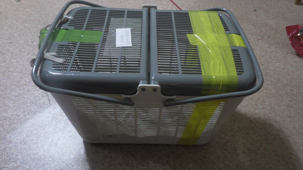 Одна из пластиковых переносок. Почему обмотана скотчем, расскажу в следующий раз.