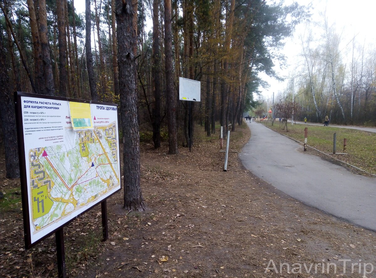 парк оптимистов воронеж