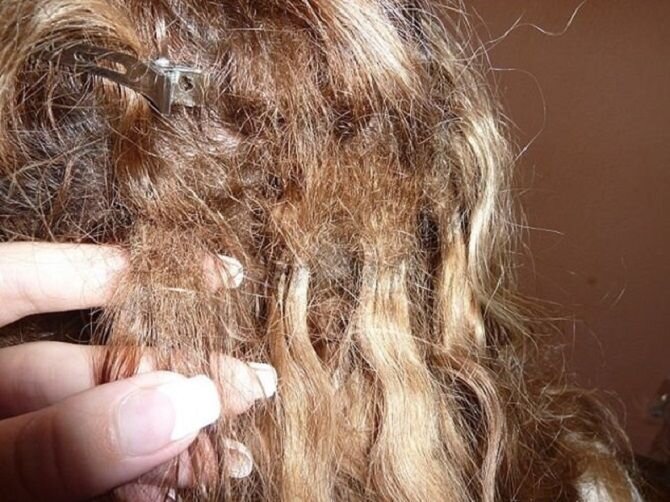 Подготовка перед покраской волос – общие правила