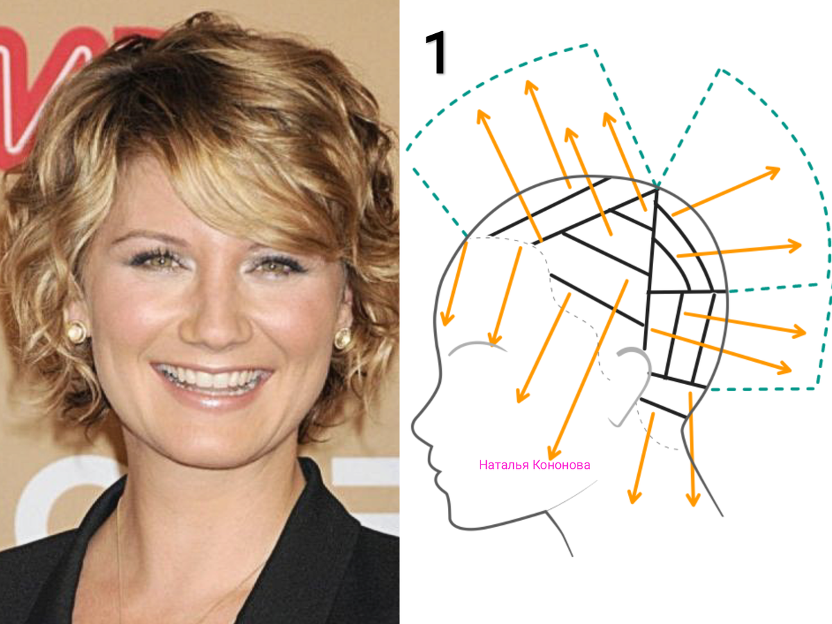 Фото из интернета, схема к стрижке моя. 