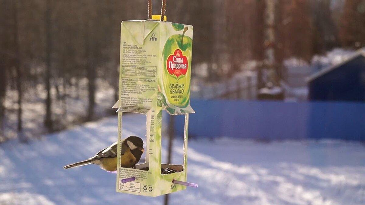 Помогаем уличным птицам в холода: подборка кормушек и корма
