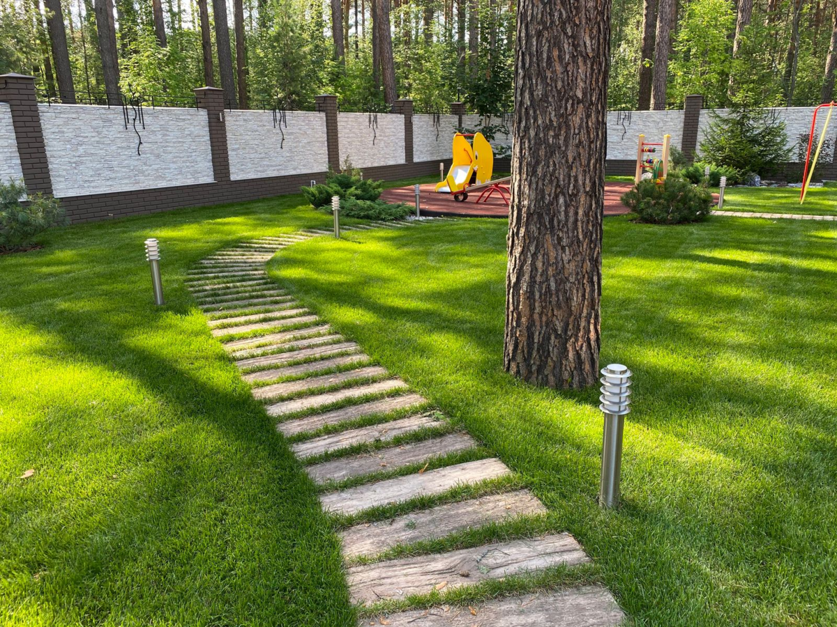 Фото принадлежит автору