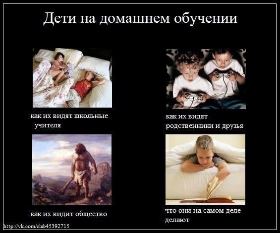 Мем на тему СО)