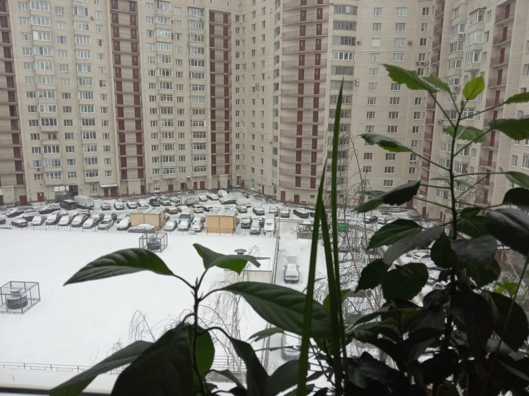 Фото автора.