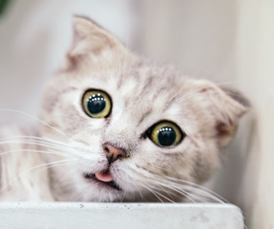 Не может быть!