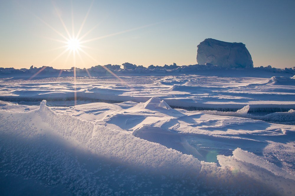 Стерильная среда 